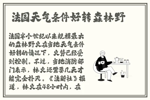 大象1区一品精区搬运机器